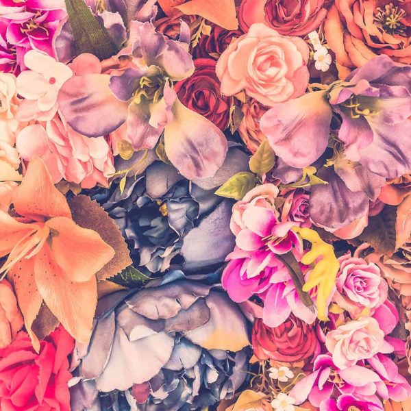 Flower Bed